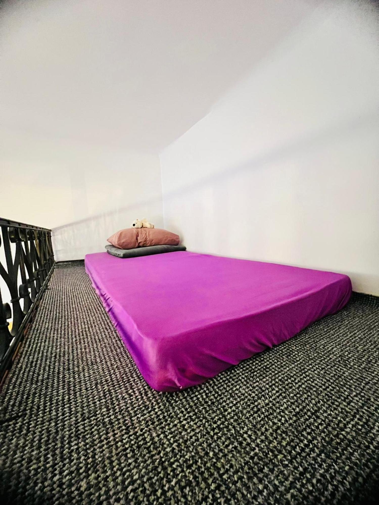 Elizabeth Brasov Apartment Екстериор снимка
