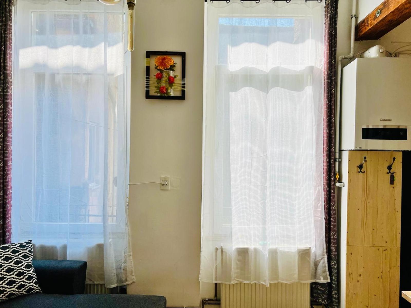 Elizabeth Brasov Apartment Екстериор снимка
